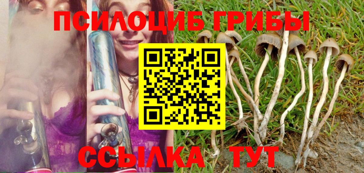 Псилоцибиновые грибы Cubensis  где купить наркоту  Среднеуральск  Вход с VPN 